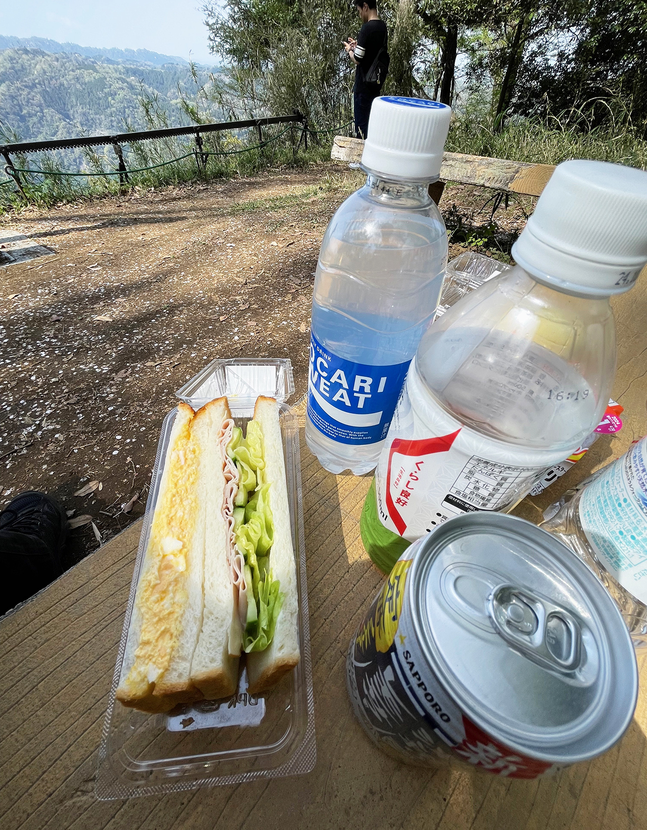 津久井湖城山公園城山津久井城山頂でランチ