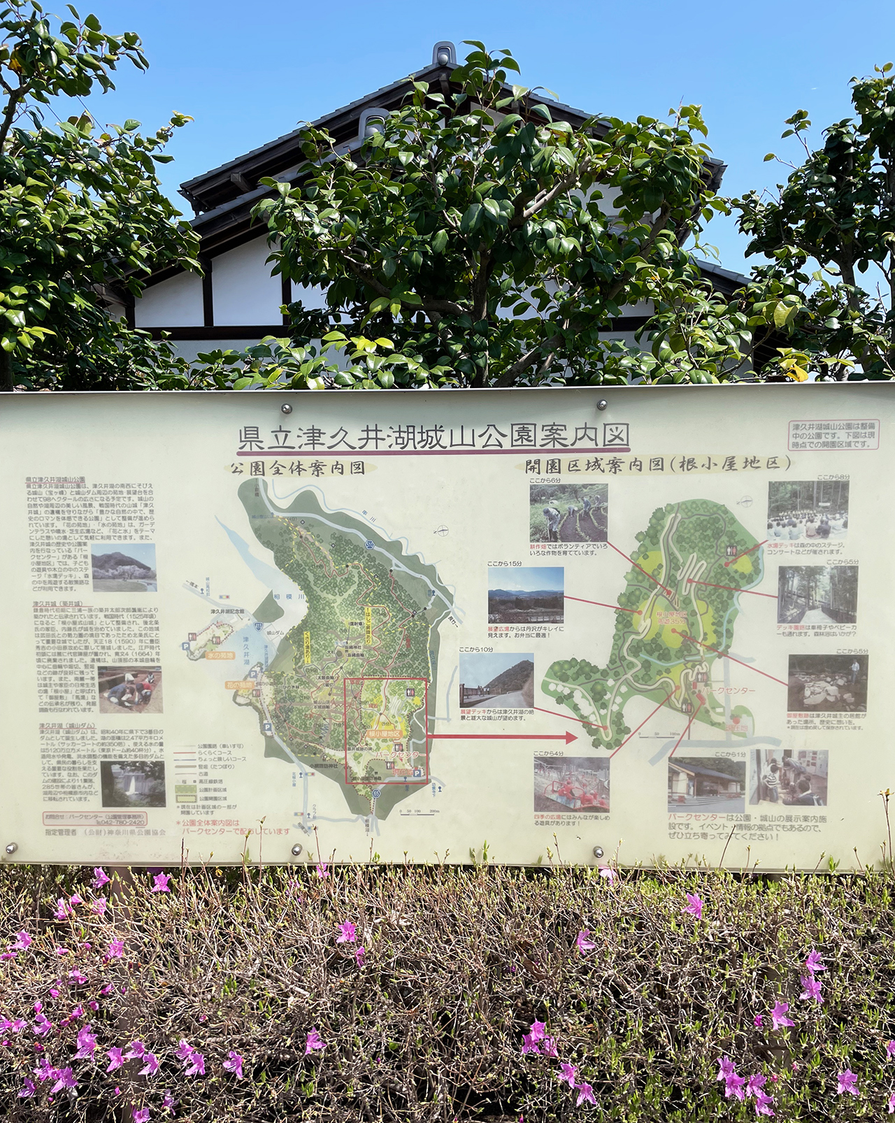 津久井湖城山公園パークセンターの案内図